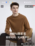 杉杉羊毛衫100%绵羊毛男重磅加厚秋冬保暖柔软贴身不扎抗起球毛衣 实拍图