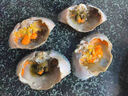 【活蟹】掌昕鲜三门青蟹 全母蟹（4-5两/只）4只 生鲜活螃蟹海鲜水产送礼品盒源头直发 实拍图