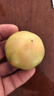 京鲜生 山东铁皮草莓西红柿 净重4.5斤 单果60-150g水果番茄源头直发 实拍图
