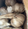 新鲜干蒜即食水果大蒜蔬菜小龙虾生蚝调料蒜 新鲜干蒜8斤含箱 实拍图