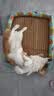 凯莉宠物凉席窝猫窝狗窝狗睡垫 夏季睡垫凉席垫 猫咪狗狗冰垫宠物用品 绿色多宝鱼凉席窝 70*55cm(建议35斤) 实拍图