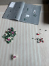 乐高（LEGO）【五月天阿信同款】积木10342 粉黛花束男孩女孩玩具儿童节礼物 实拍图
