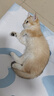 弗列加特 80%鲜肉含量 猫主粮全价无谷天然粮 幼猫猫粮2kg 实拍图