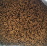 力狼猫粮 成猫幼猫通用型天然粮 【预售-超值囤货】鸡鱼+乳鸽20kg 实拍图
