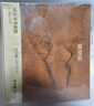 鲜京采【25年夏季新款】提拉米苏蛋糕400g6块装 冰淇淋蛋糕零食糕点雪糕 实拍图