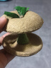 licheers金丝熊磨牙苹果核仓鼠磨牙棒粮食营养零食鼠粮磨牙饲料 实拍图