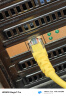 普联（TP-LINK） TP-LINK TL-NG421 2.5G千兆台式机电脑服务器内置高速以太网络PCI-E有线网卡 实拍图