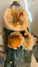 数鴨子（SHUYAZI）生咸蛋黄20粒200g/袋 蛋黄月饼烘焙原料咸鸭蛋黄高邮买5包赠1 实拍图
