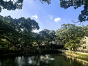 京东京造抽纸 羽柔纸巾 3层150抽*27包S码 卫生纸 餐巾纸擦手纸 整箱 实拍图