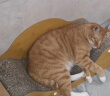 憨憨乐园猫抓板猫窝一体耐磨不屑猫爪窝立式双层瓦楞纸猫窝四季通用窝沙发 实拍图
