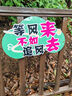 Classic Teddy童装儿童裤子男女童防蚊裤纯棉运动休闲裤薄款灯笼裤 仔蓝 110  实拍图