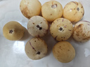 云南沃柑橘子薄皮桔子柑橘应季水果送礼装蜜柑整箱 净重4.5-5斤品质装 自有果园 实拍图