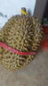 榴恋莱新鲜泰国进口金枕榴莲水果鲜榴莲时令 巴掌新鲜榴莲水果 精选9-10斤装（1-2个） 实拍图