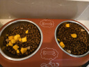 亿迪 猫粮幼猫1-4月12月全价奶糕蓝猫英短小猫专用哺乳离乳期3斤 实拍图