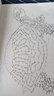 魔法连线：初级篇 儿童专注力训练连点画 宝宝学生连线画涂色本 动物植物建筑美食人物全面认知 提升专注力观察力创造力控笔能力 实拍图