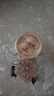 福东海 菊花枸杞决明子蒲公英茶 搭养肝护肝茶金银花滋补熬夜茶叶150g 实拍图