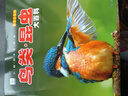 鸟类·昆虫大百科 彩图注音版科普读物 小眼睛看世界儿童科学启蒙认知百科全书   儿童年货节送礼 实拍图
