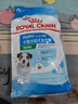 皇家狗粮 幼犬狗粮 宠物 小型犬 MIJ31 全价犬粮 2-10月 2KG 实拍图