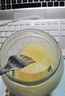 欢乐家雪梨罐头900g*2瓶 新鲜水果罐头 送礼礼盒装送父母长辈 休闲零食  实拍图