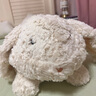 野兽派家居（tbh）月宫折桂长条抱枕月兔办公室抱枕车载抱枕睡觉夹腿抱枕玩偶靠垫 实拍图