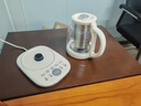 苏泊尔（SUPOR）纯钛养生壶 煮茶壶烧水壶 316L不锈钢 恒温壶 煮茶器  电热水壶多段保温花茶壶1.5L SW-15YQ60 实拍图
