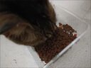 麦富迪猫粮 超肉粒冻干双拼奶糕离乳猫粮呵护免疫 冻干蛋奶2kg 实拍图