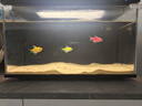 米家（MIJIA）智能生态鱼缸定时喂食智能鱼缸+画法几何增氧泵套装 实拍图