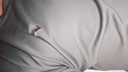 际华 3565体能服短袖训练服男体能短袖速干透气军迷短袖体能服套装 体能服套装【正品保障】 175/92-96 实拍图