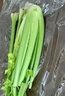 新鲜出土西芹大颗半叶绿色蔬菜榨汁专用甜脆嫩心时令蔬菜现割现发 1斤尝鲜款 实拍图