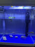 舒博莱特（SHUBOLAITE）鱼缸水族箱懒人家用客厅小型迷你生态桌面金鱼缸造景玻璃过滤鱼缸 240-官方标配【无造景】 实拍图