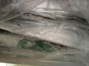 七冰东 带鱼 新鲜特级大带鱼整条 海钓宽带鱼段整箱 海鲜水产 生鲜 鱼类 5斤装（1-1.4斤/条） 实拍图