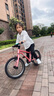 Nabiis那贝斯儿童自行车3-6-7-8岁男女孩青少年山地超轻单车16寸高配粉 实拍图