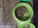 雷米高（RAMICAL）澳丽得 海洋鱼味猫粮海洋鱼味成猫幼猫粮猫粮 10kg 20斤 实拍图