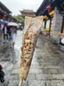【超值双人价】云南旅游 昆明大理丽江6天5晚豪华双人跟团游 玉龙雪山 蓝月谷5 豪华双人游 实拍图
