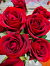 京东鲜花玫瑰花红色玫瑰10枝如意基地鲜切花水养插花生活花束送礼源头直发 实拍图