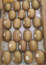 佳沛（zespri）新西兰 阳光金奇异果12粒礼盒特大果单果约122-146g 猕猴桃 水果 实拍图