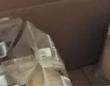 桃李酵母面包混合口味牛奶香蕉巧克力早餐蛋糕点心办公室零食整箱900g 实拍图