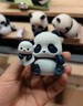52TOYS Panda Roll熊猫也是猫盲盒潮玩动漫手办玩具单只价同618 实拍图