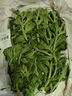 良知农哥【顺丰】山东冰草 新鲜冰菜沙拉蔬菜冰叶 健康轻食 3斤 实拍图