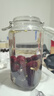 喜碧（Scybe）泡酒容器密封罐6斤装泡酒瓶泡菜坛子腌菜缸腌蛋玻璃罐潘多拉3.2L 实拍图