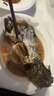 潮万赞牛肉丸潮汕手打牛筋丸正宗潮州特产牛肉丸子火锅食材烧烤关东煮 金装纯牛肉丸*3斤 实拍图