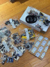 乐高（LEGO）积木机械组系列42130 宝马摩托车不可遥控玩具高难度儿童节礼物 实拍图