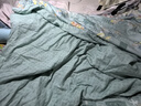 富安娜家纺 夏凉被100%蚕丝被子夏季空调被夏季单人双人宿舍薄被子 100%蚕丝抑菌-茉染 230*229cm 实拍图