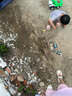 TaTanice儿童拆装玩具工程车挖掘机拼装模型拧螺丝积木男女孩开学生日礼物 实拍图