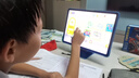 步步高（BBK）AI学习机S9【接入DeepSeek】 学练机平板电脑教材同步练 幼小初高全科辅导家教机 14.2英寸 8+256G 实拍图