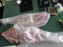 喜润家棉纱拖把棉线胶棉拖布墩布平板尘推酒店学校物业海绵洗车排拖 实拍图