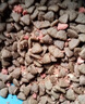 麦富迪猫粮 超肉粒冻干双拼成猫粮美毛护肠胃 三文鱼2kg 实拍图