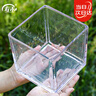寿禾 玻璃瓶加厚透明植物插花水培容器 15*15大号方形水培玻璃瓶 实拍图