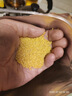 十月稻田 24年新米 山西黄小米 2.5kg 五谷杂粮 粗粮 早餐小米粥 真空5斤 实拍图