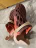 迈乐（Merrell）户外溯溪洞洞鞋HYDRO MOC毒液涉水鞋男女款沙滩鞋凉鞋轻便溯溪鞋 J008068火焰红（女）上新 37 偏大一码 实拍图